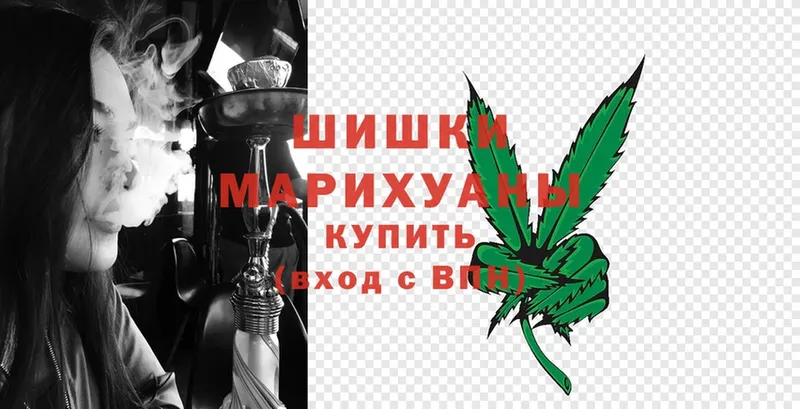 как найти   Малая Вишера  МАРИХУАНА SATIVA & INDICA 